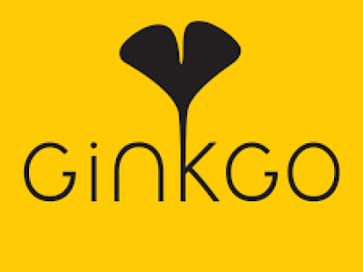 Ginkgo Tshirt