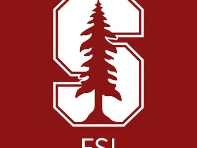 FSI Standford